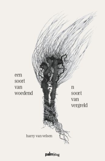 een soort van woedend (n soort van vergreld)